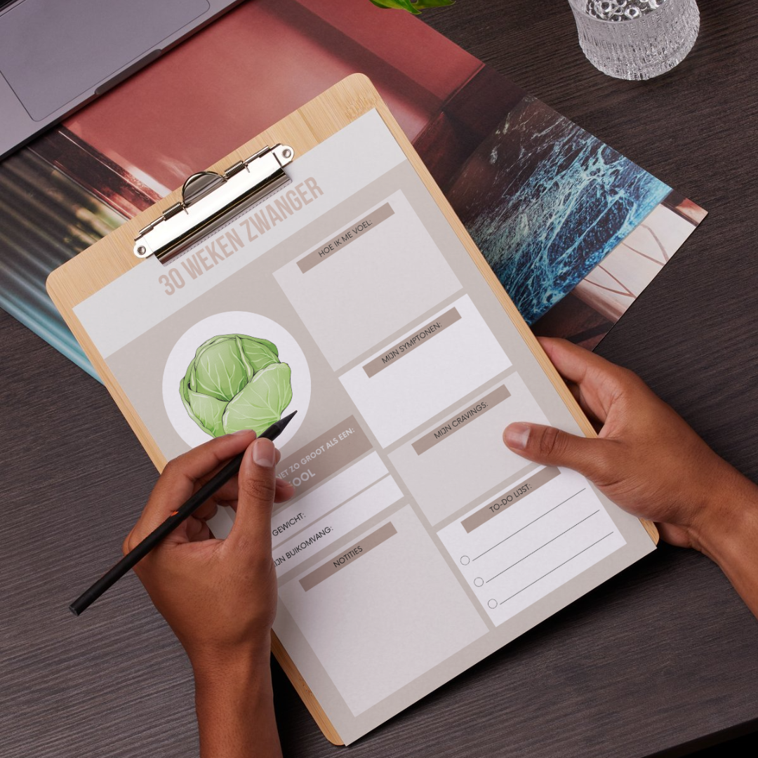 Zwangerschaps | Planner