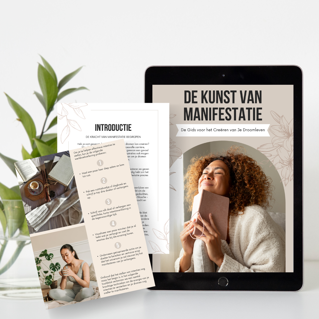 De Kunst Van Manifestatie | E-Book