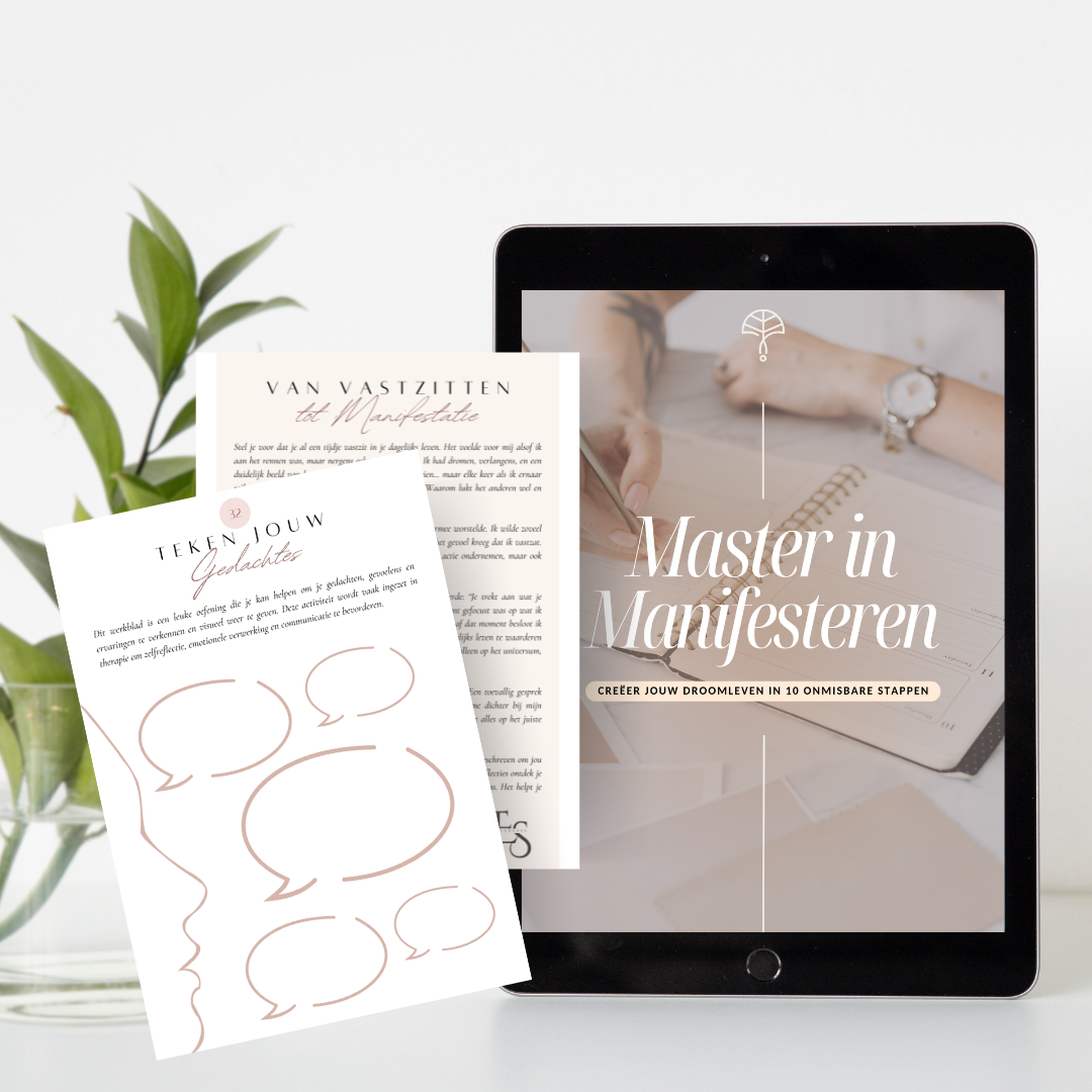 Master in Manifesteren | Werkboek