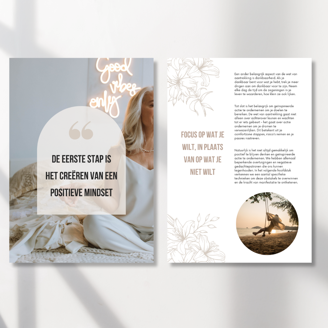 De Kunst Van Manifestatie | E-Book