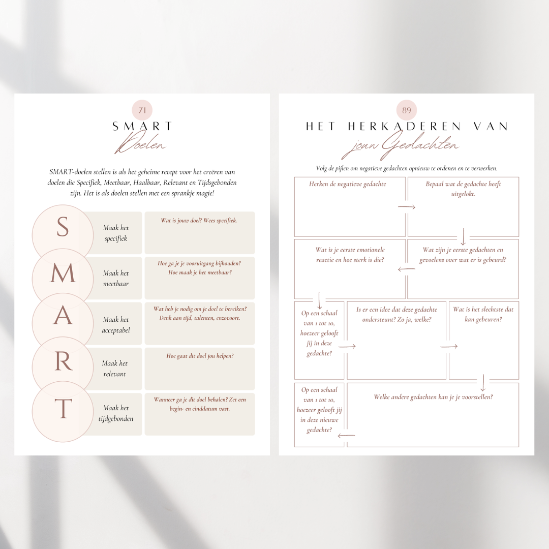 Master in Manifesteren | Werkboek